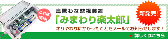 みまわり楽太郎